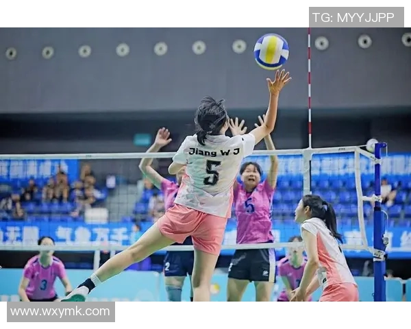 成都排球队排球战术解析与节奏体系的深度剖析